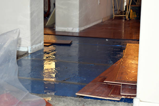 Professional Sewage Cleanup technician working in Liberty Center, IA